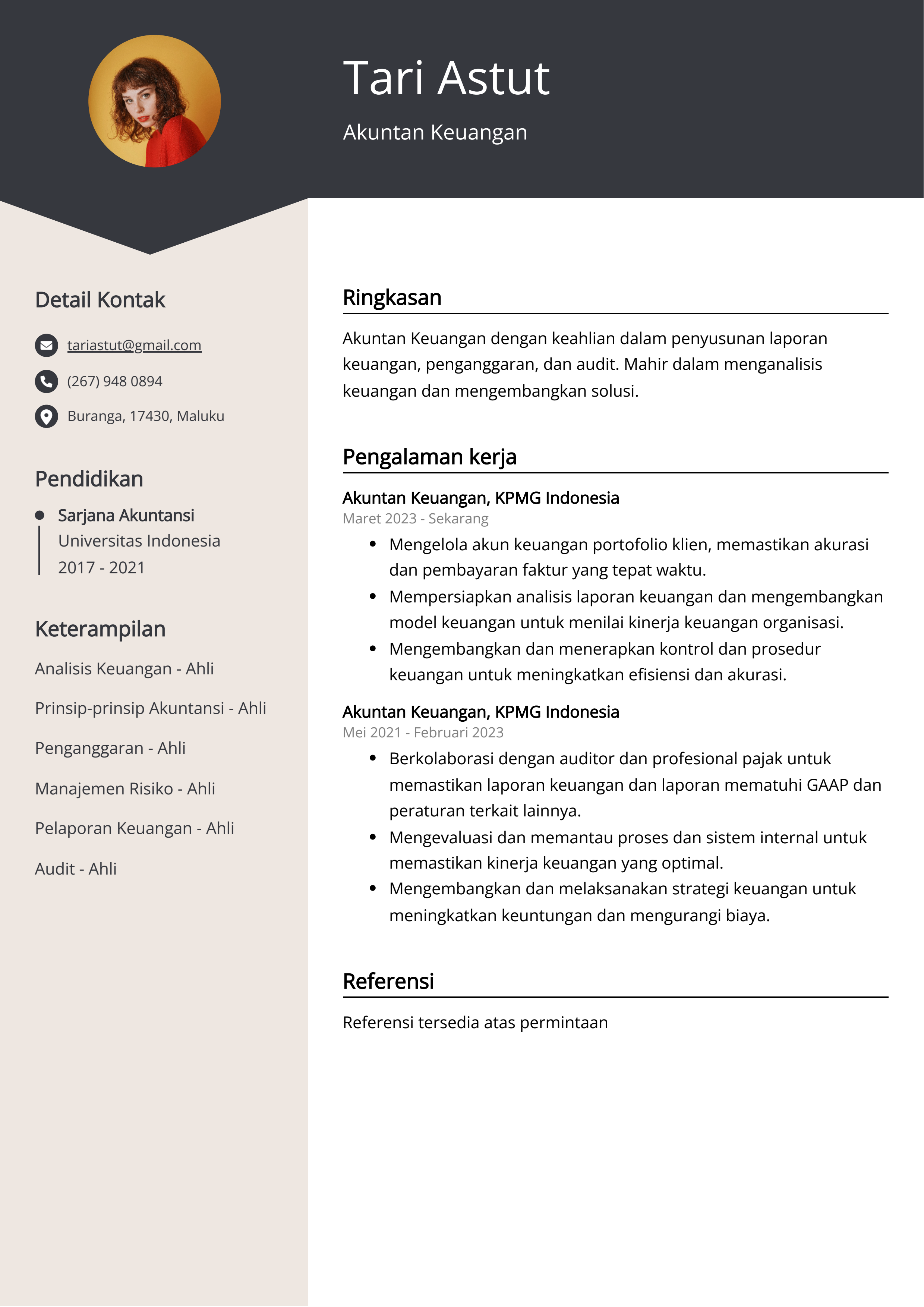 Contoh Resume Akuntan Keuangan