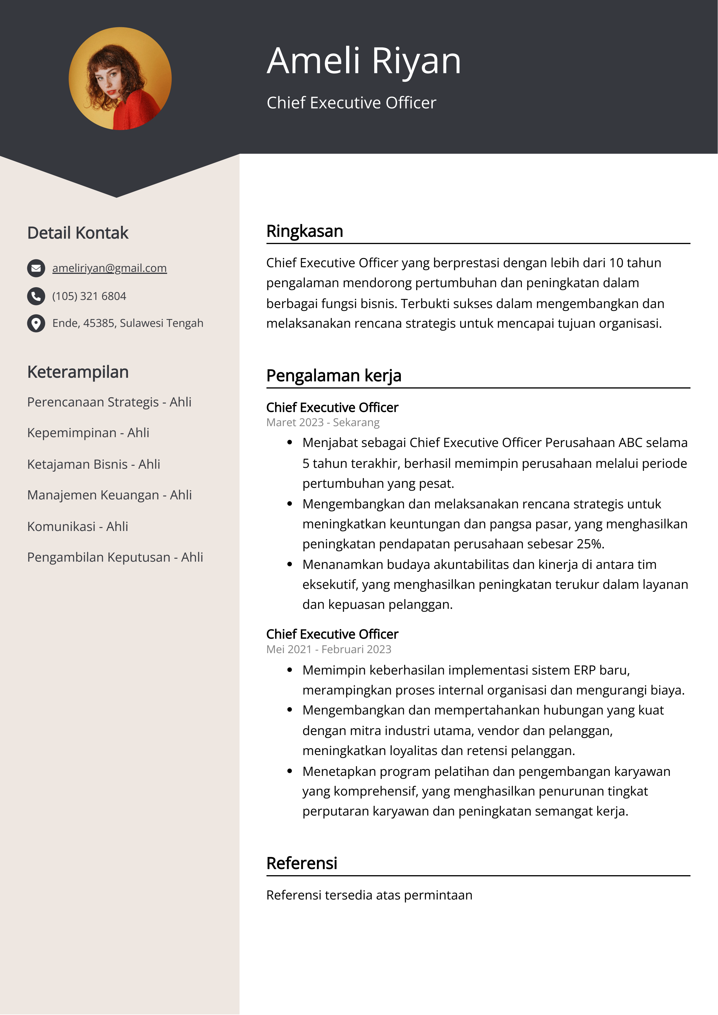 Contoh Resume Chief Executive Officer