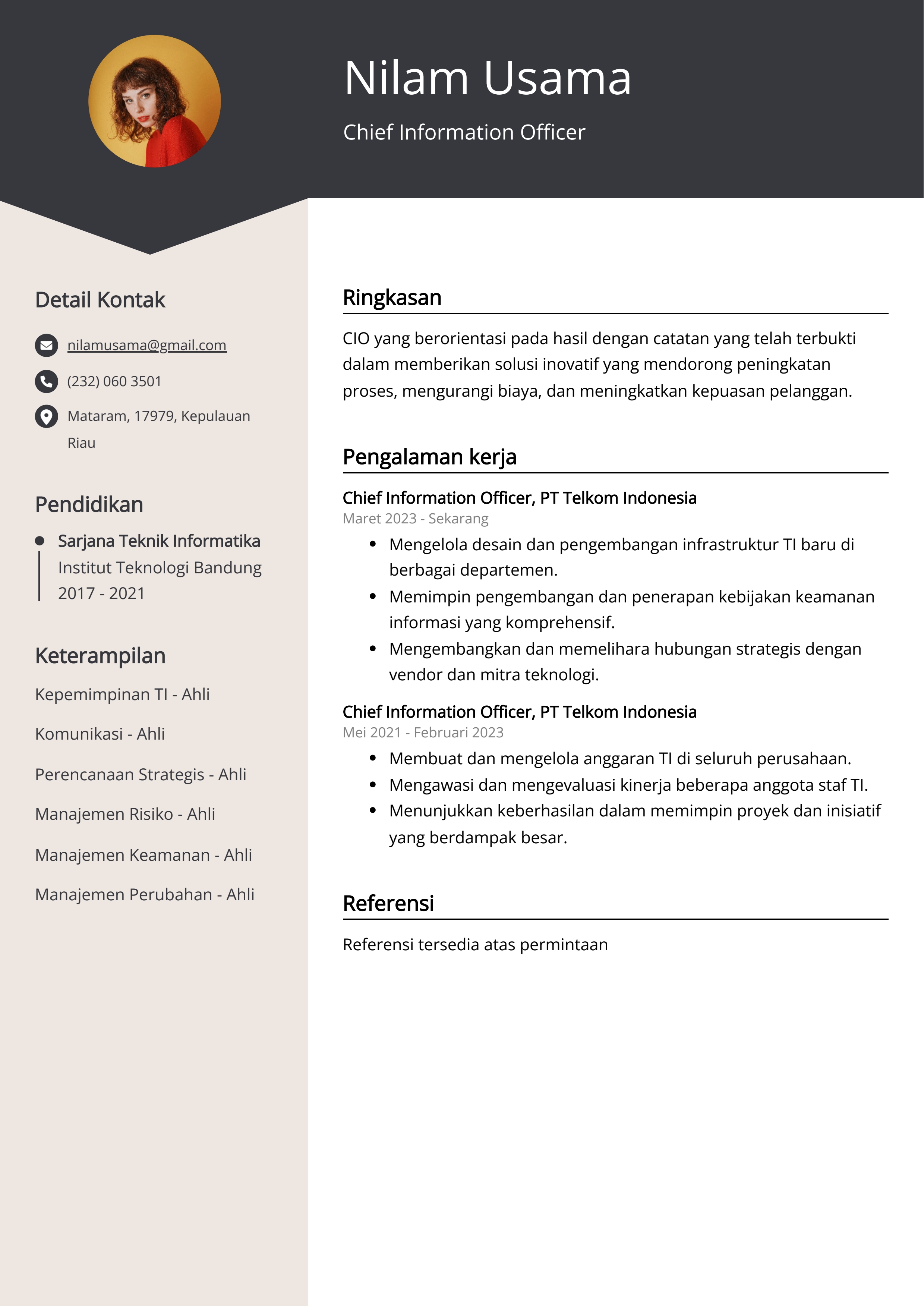 Contoh Resume Chief Information Officer