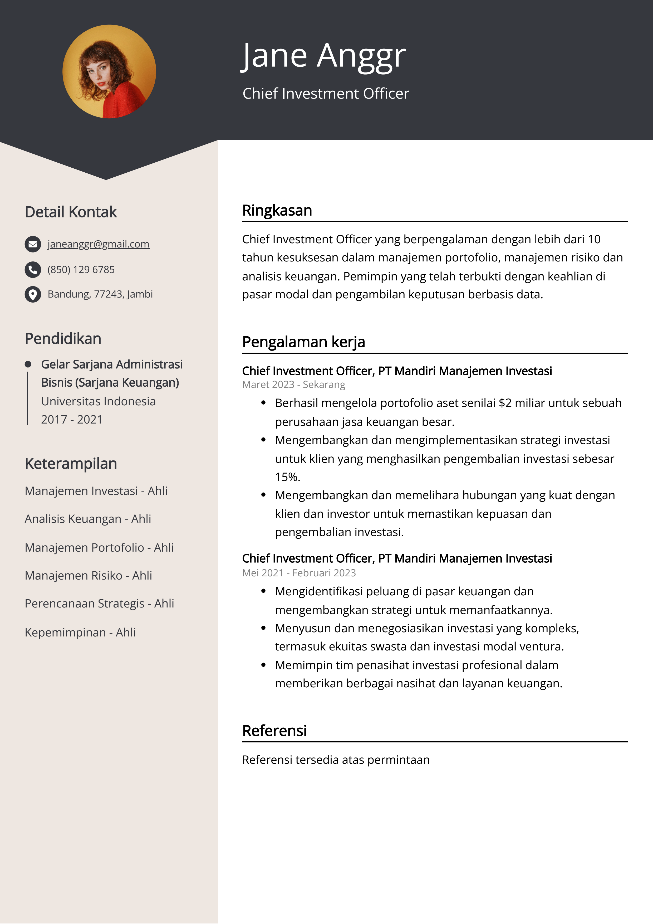 Contoh Resume Chief Investment Officer