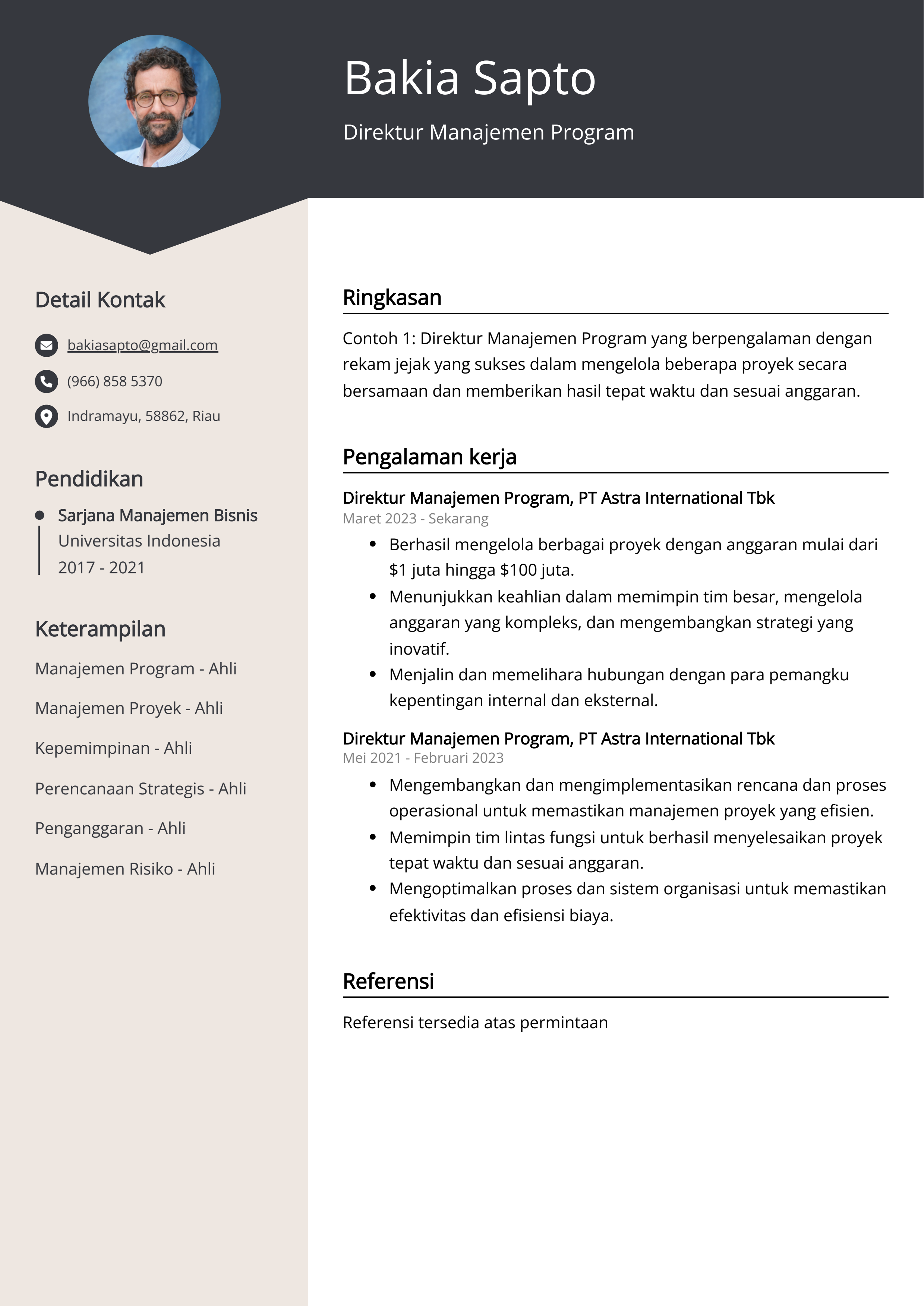 Contoh Resume Direktur Manajemen Program