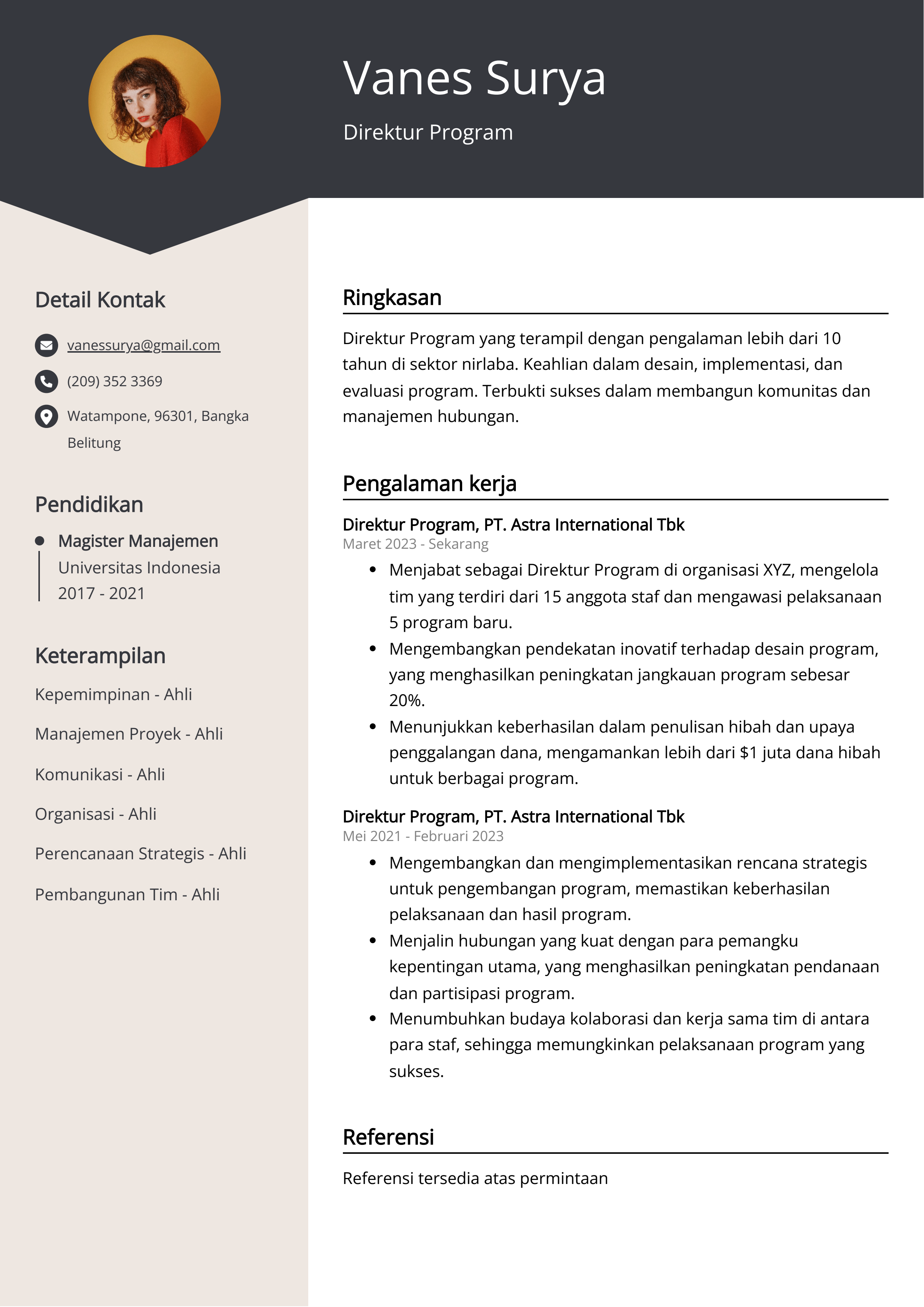 Contoh Resume Program Direktur