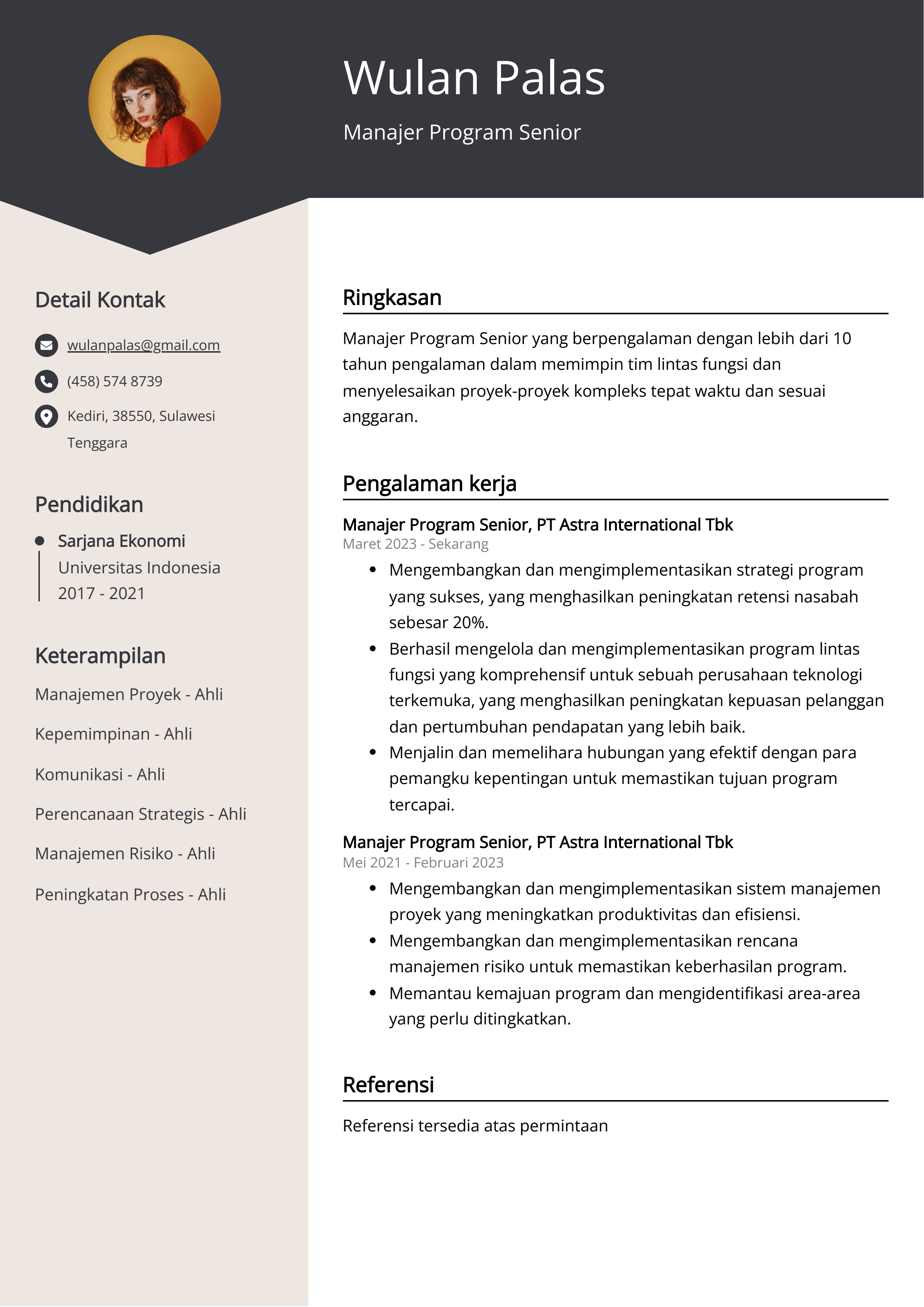 Contoh Resume Manajer Program Senior