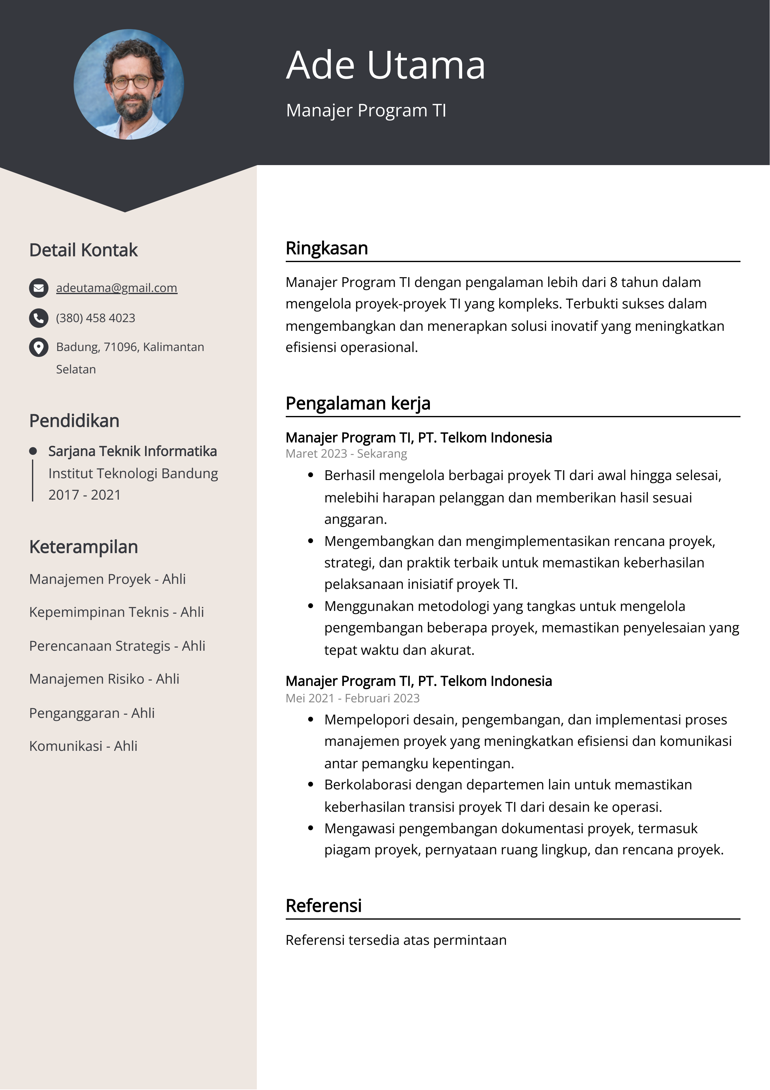 Contoh Resume Manajer Program TI